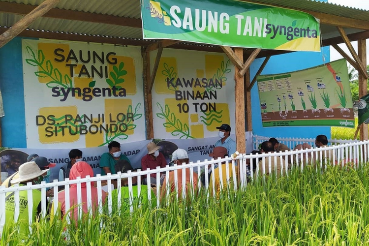 Kawasan Padi 10 untuk memastikan ketahanan pangan. 