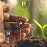 Simak, Ciri-ciri Tanaman Kekurangan Nitrogen dan Solusinya