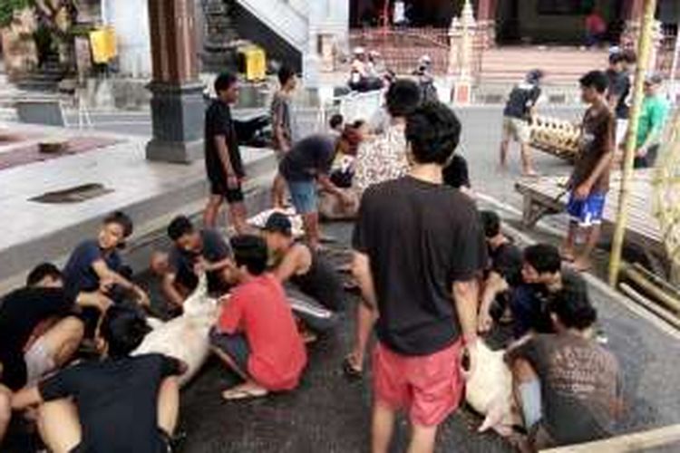 Watga potong hewan babi untuk membuat masakan Lawar menyambut Hari Raya Galungan