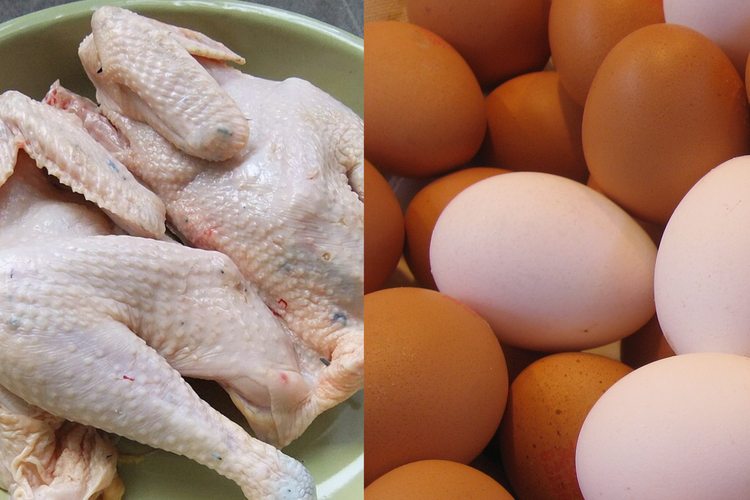 Ilustrasi perbandingan daging dan telur ayam.