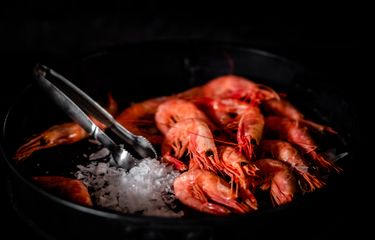 Kulit udang mengandung chitosan yang bisa digunakan menurunkan kolesterol.