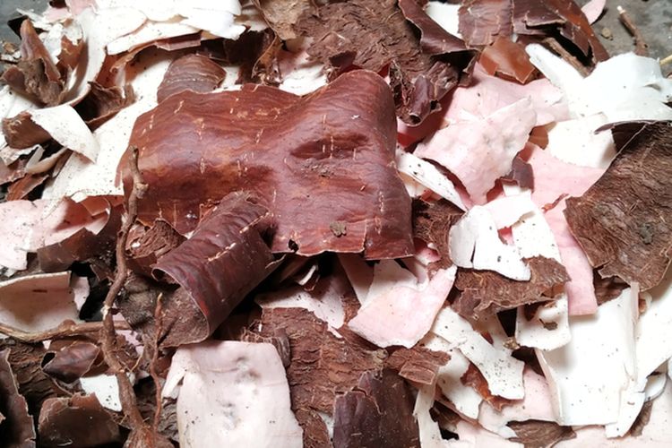 Ilustrasi kulit singkong. Kulit singkong dapat dimanfaatkan sebagai alternatif pakan ternak. 