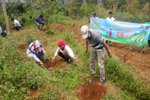 Pemkab Batang Reboisasi 80.000 Hektar Lahan Kritis di Empat Kecamatan