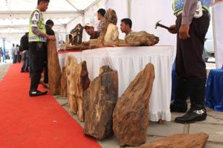 Batu fosil kayu mulai diburu kolektor batu di Nunukan terutama fosil kayu ulin yang memiliki alur dan kekerasan diatas fosil batu kayu lainnya.