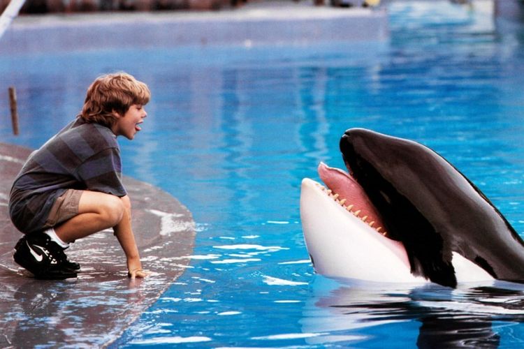 Film Free Willy Akan Di-remake Sutradara Avengers 