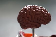 Ramai soal Otak Brigadir J Berada di Perut Saat Otopsi Kedua, Begini Penjelasan Dokter Forensik