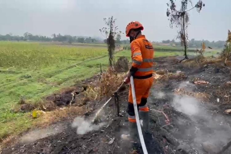 Kebakaran TPA Galuga Bogor Masuk Hari Kedelapan, Area yang Ditangani Tinggal 0,48 Hektar
