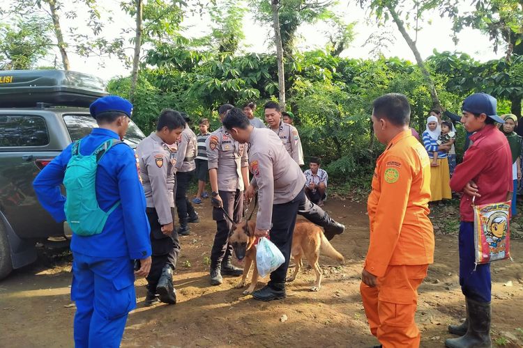 Petugas saat melakukan pencarian terhadap nenek Jamaah yang hilang diduga tersesat di hutan di Banyuwangi, Rabu (3/5/2023)