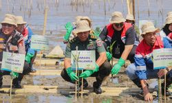 Pertamina Trans Kontinental Dukung Pelestarian Ekosistem Pesisir melalui Green Mangrove Action Program di Makassar