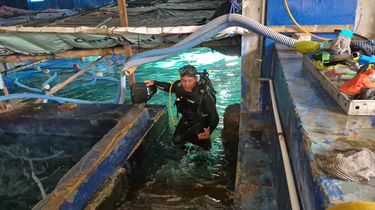 Profesi Penyelam Tak Sekadar Atraksi, Ada Risiko Cedera Telinga hingga Kematian