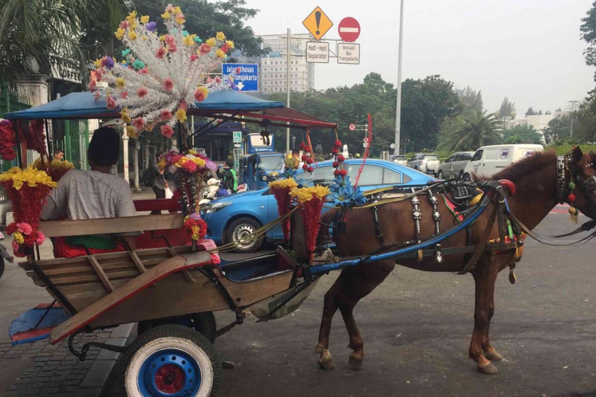Pemprov DKI Jakarta melarang delman  di Jakarta Pusat  beroperasi selama Asian Games 2018 atau mulai 1 Agustus-30 September 2018. Pelarangan tersebut dilakukan untuk menghindari penyakit menular yang bisa saja menjangkit kuda atlet Asian Games, Rabu (4/7/2018).
