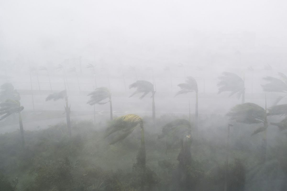 Angin kencang dan hujan dari badai Irma terlihat di Miami, Florida, AS, Minggu (10/9/2017). Irma, salah satu badai Atlantik terkuat dalam satu abad ini, menghantam Kepulauan Karibia, Kuba, hingga Florida, AS, telah menewaskan puluhan orang dan memporak-porandakan permukiman penduduk.