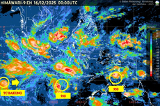 Pemotor di Sulsel Diserang Ular Piton, Terjatuh Lalu Dililit hingga Tewas