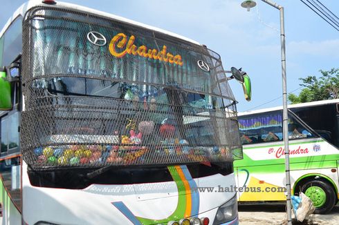 Ini Alasan Kenapa Tameng Bus Hanya Dipasang Di Kaca Depan 