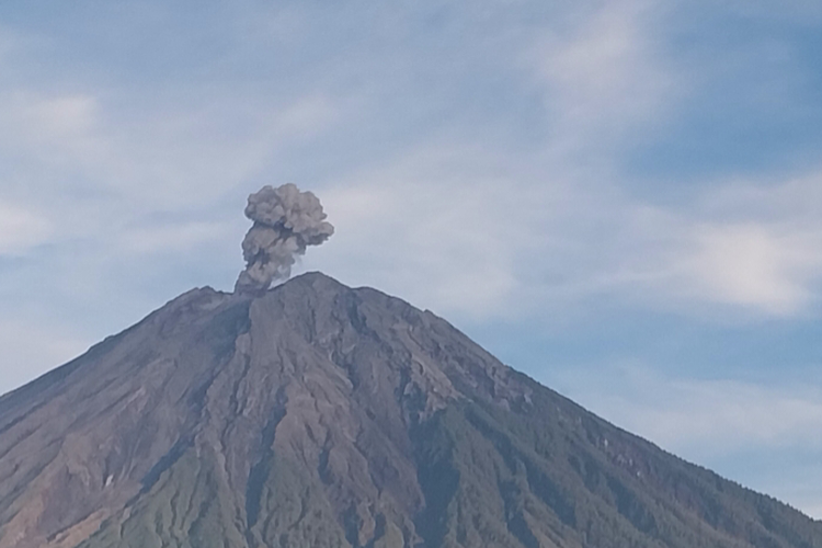 Erupsi Gunung Semeru Selasa Pagi, Kolom Abu Setinggi 800 Meter