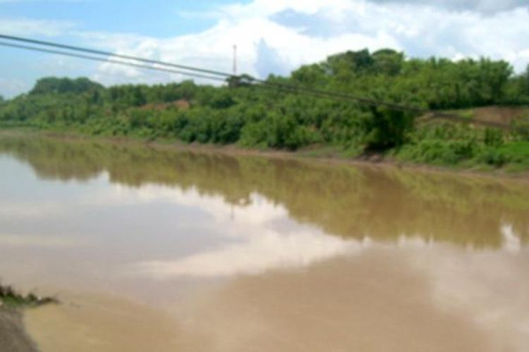 Salah satu bagian Bengawan Solo yang melintasi Kabupaten Bojonegoro, Jawa Timur.