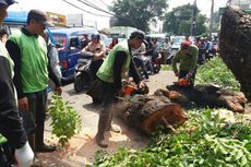 Sudin Kehutanan Jaktim Pangkas 1.234 Pohon di 10 Kecamatan