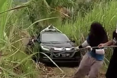 Video Viral, Mobil Diduga Milik Google Maps Tersesat di Kebun Tebu Malang