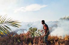 Lahan Gambut di Rokan Hulu Riau Terbakar, Petugas Tempuh 70 Km Padamkan Api