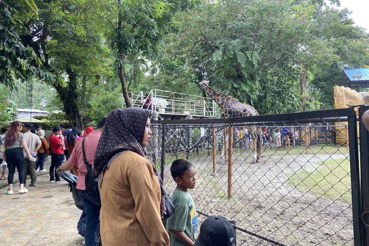 Ribuan Pengunjung Nikmati Momen Memberi Makan Satwa di Kebun Binatang Surabaya
