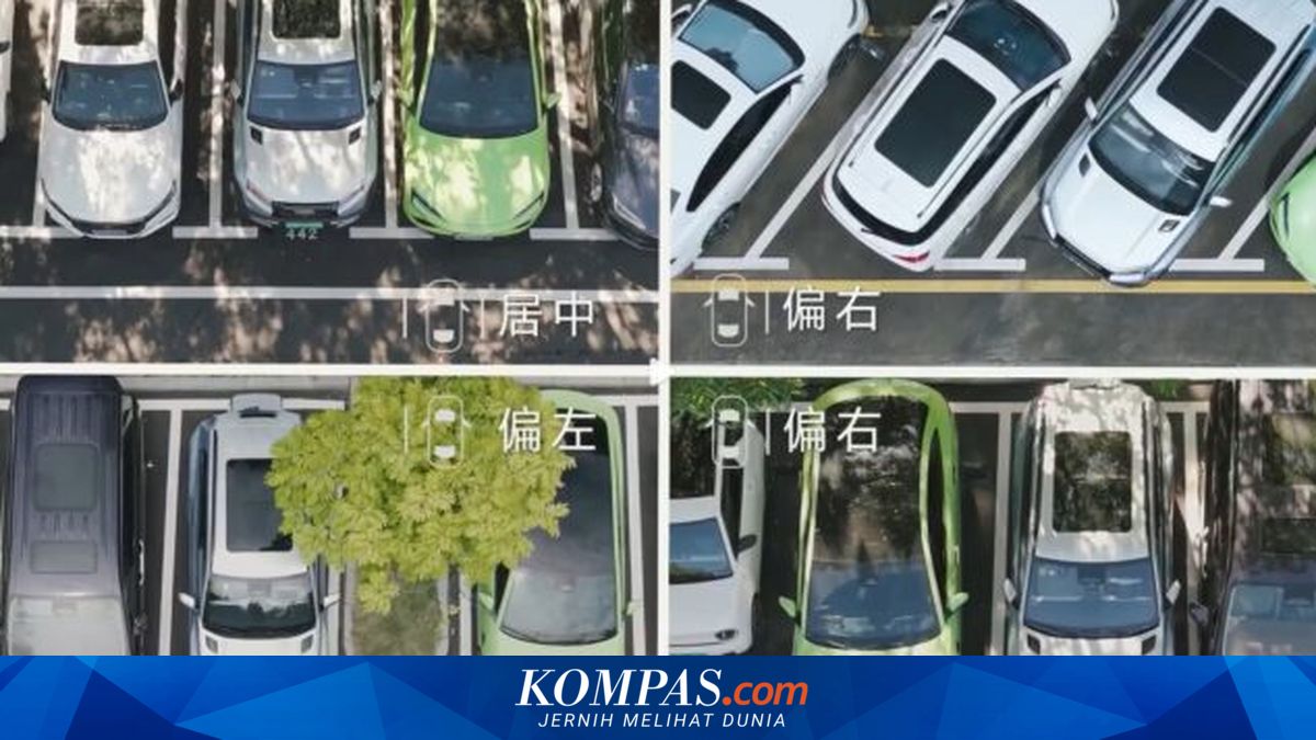 Viral Tuduhan Parkir Lubuklinggau Dikuasai Keluarga Wali Kota, Kadishub Buka Suara