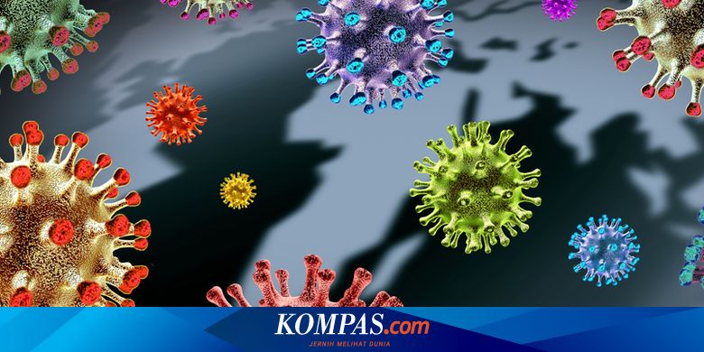 Varian Baru Covid 19 Ini Akhirnya Dilabeli Who Sebagai Varian Lambda Halaman All Kompas Com