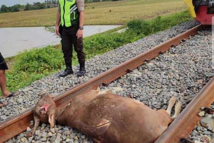 Kereta api Sulsel mengalami kecelakaan dalam perjalanan dari stasiun Maros menuju ke Pangkep dan Baru, Selasa (14/3/23) sekitar pukul 10.00 Wita.