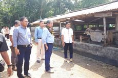 Pegadaian Bantu Petani Lepaskan Ketergantungan terhadap Tengkulak