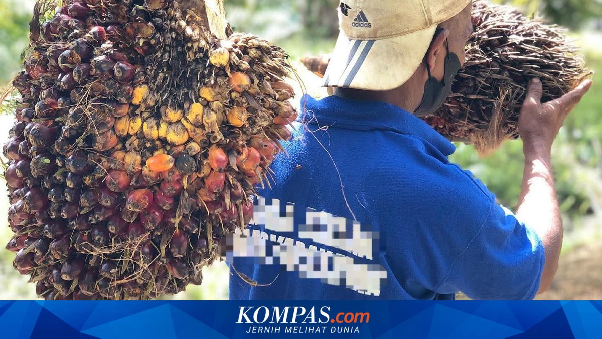 Agrinas Palma Rekrut 20 Ribu Lebih Pekerja untuk Kelola Aset Sawit