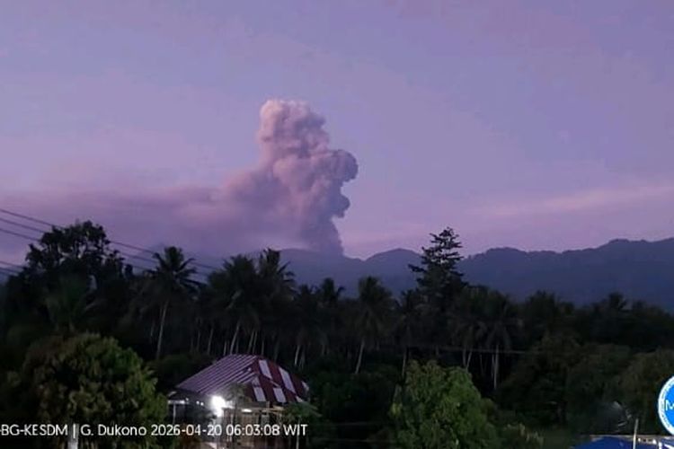 Gunung Dukono Erupsi 1,4 Kilometer, Abu Vulkanik ke Arah Timur