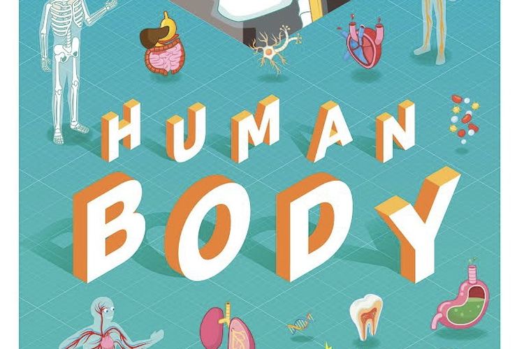 Buku Ensiklopedia Lift the Flaps: Human Body