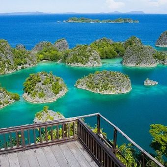 Pemerintah pusat mulai menanggapi sorotan publik soal tambang nikel di Raja Ampat. Menteri LHK dan Menteri ESDM siap evaluasi izin dan tinjau langsung lokasi tambang. Apa dampaknya bagi kawasan konservasi dunia itu?