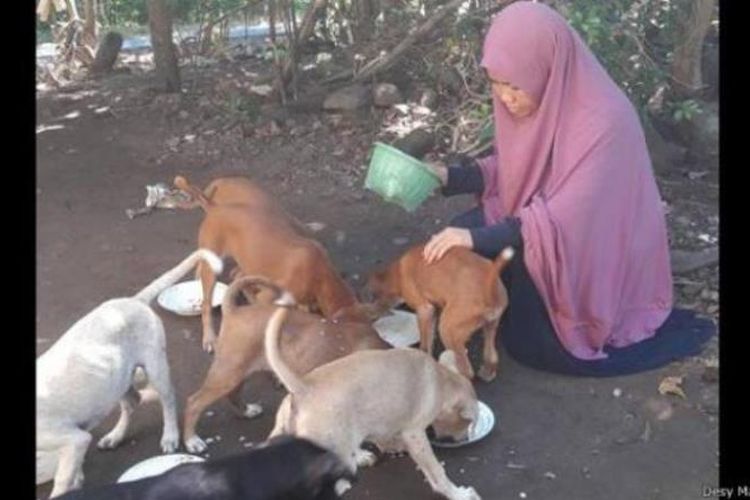 Kisah Desy, Wanita Berhijab Penolong Anjing Liar, Kasih Sayang untuk