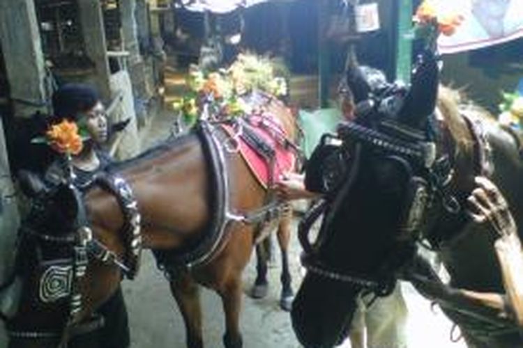 Srikandi dan Agustin kuda untuk karnaval di Jakarta.