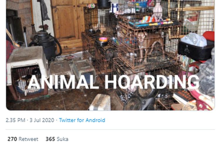 Tangkapan layar unggahan tentang animal hoarding di Twitter