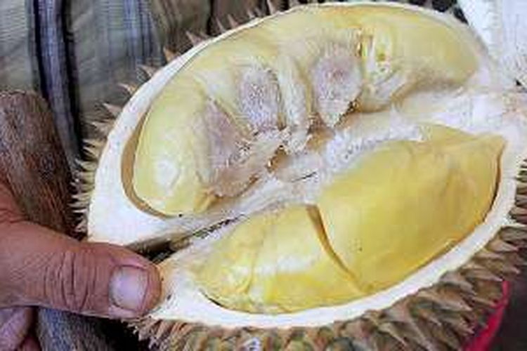 Warga menunjukkan daging buah durian di Desa Pait, Kecamatan Kasembon, Februari lalu. 