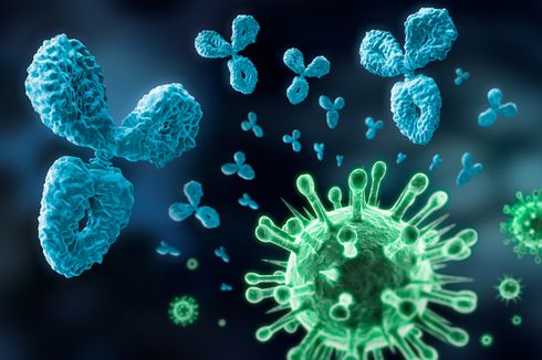 Ilmuwan Bikin Atlas untuk Memetakan Antibodi terhadap Virus Corona, Untuk Apa?