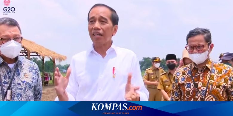 PK Vonis Karhutla Kalteng, Pemerintah Dinilai Tak Paham Mandat Perlindungan Lingkungan