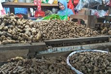 Dampak Corona, Harga Jahe Merah Tembus Rp 100.000/Kg