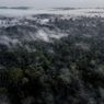 Menjaga Hutan Kalimantan Utara