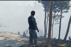 15 Hektar Hutan di Pulau Enggano Terbakar, 2 Warga Diamankan
