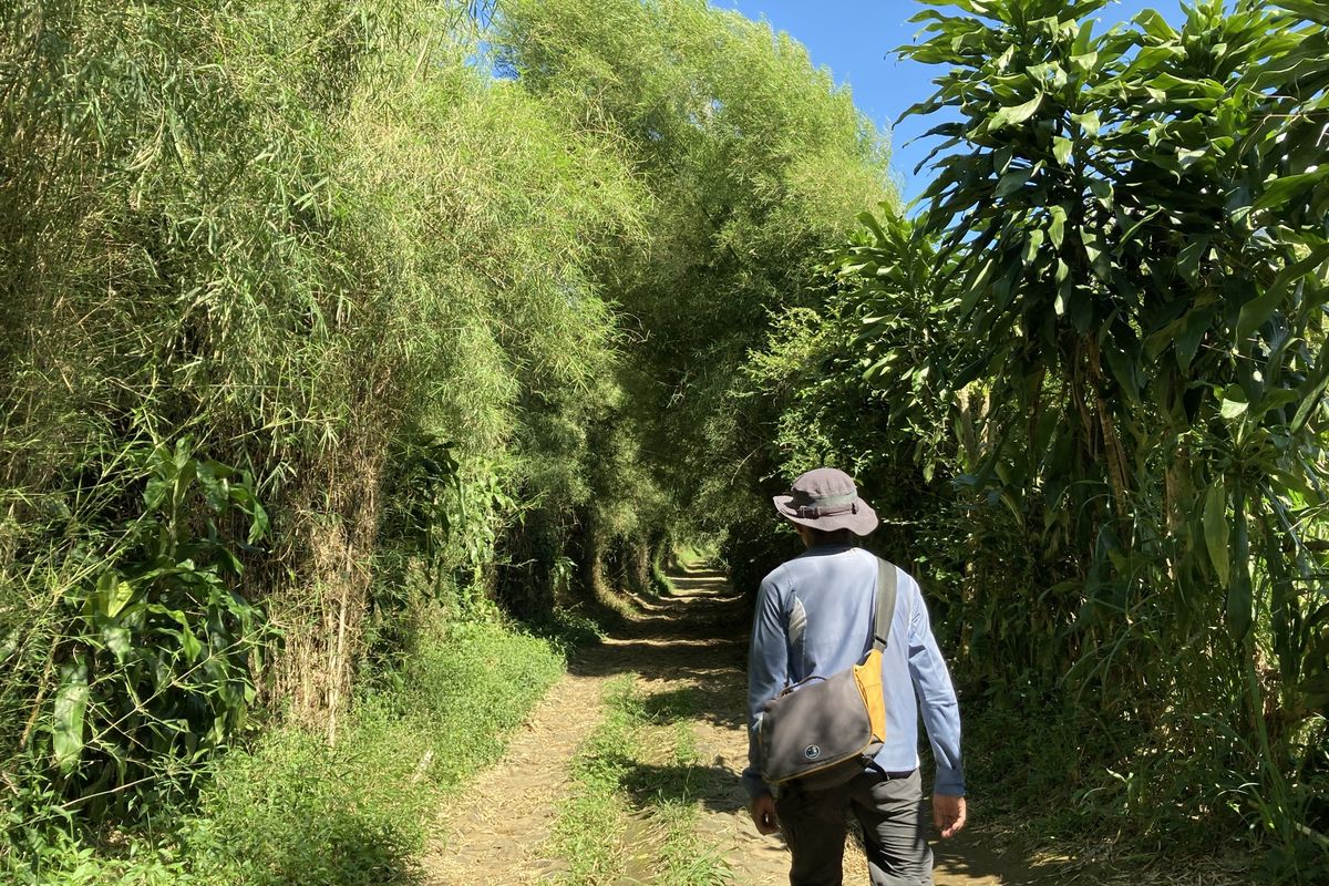 Seorang wisatawan sedang trekking di jalur trekking kaki Gunung Salak yang berlokasi di Desa Pasirjaya, Kecamatan Cigombong, Kabupaten Bogor, Kamis (27/5/2021).