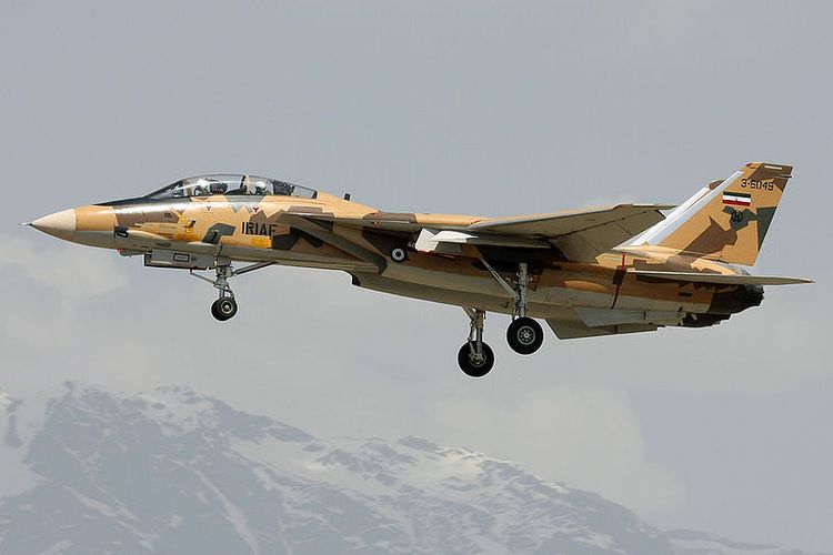 F-14 Tomcat Iran Jadi Sorotan, Satu-satunya yang Masih Terbang di Dunia