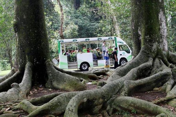 5 Tempat Wisata Sekitar Stasiun Bogor Bisa Dicapai Dengan