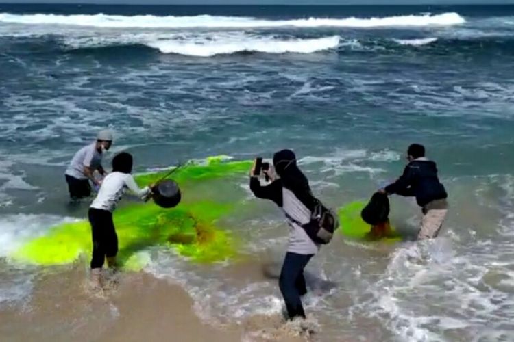 Tim SAR dan tim Program Studi Sarjana Terapan Sistem Informasi Geografis Departemen Teknologi Kebumian - Sekolah Vokasi Universitas Gadjah Mada, melakukan penelitian RIP Current di Pantai Pulang Sawal atau Indrayanti. Jumat (24/7/2020)