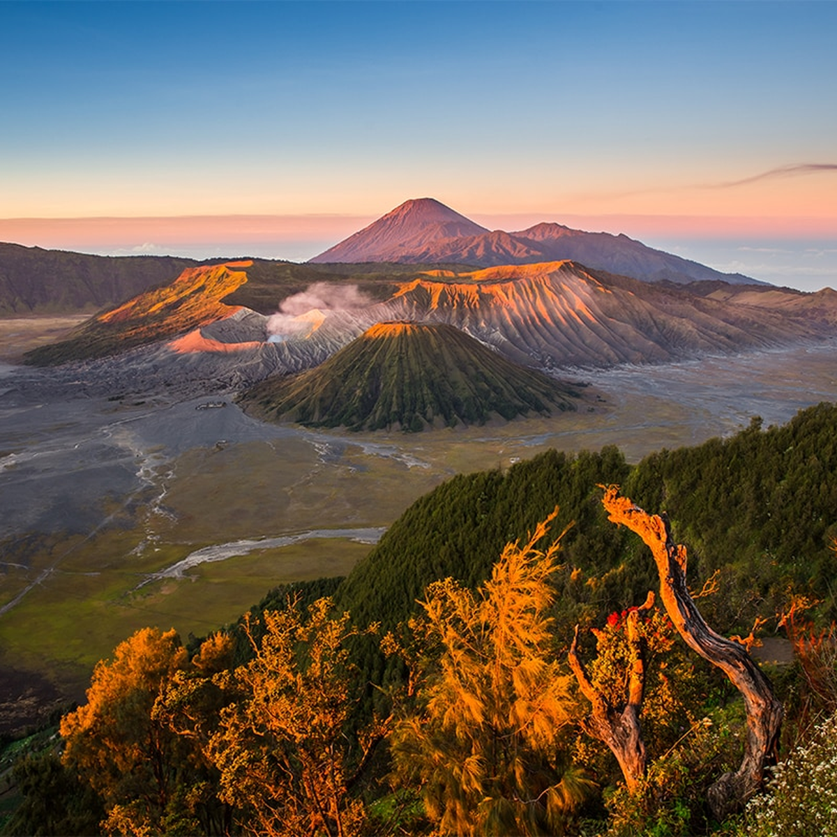 Sunrise dari Penanjakan 1 Bromo dengan lautan awan dan Gunung Semeru di latar belakang