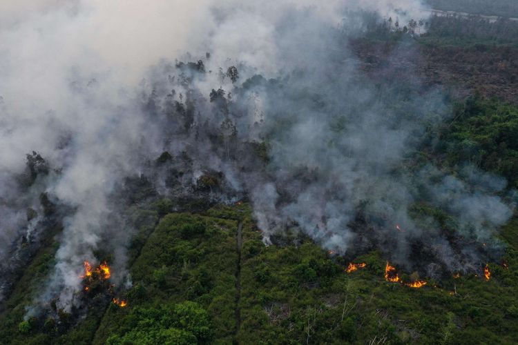 Asap terlihat keluar dari lahan gambut yang terbakar di Jalan Tjilik Riwut Km 10, Patuk Katimpun, Palangka Raya, Kalimantan Tengah, Minggu (29/9/2019).
