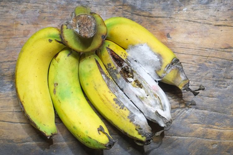 Ilustrasi buah pisang terkena penyakit antraknosa