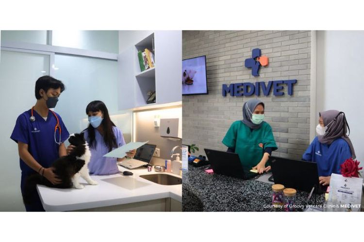 MEDIVET dan Groovy Vetcare Clinic menyediakan fasilitas serta layanan premium yang canggih. 