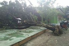 Angin Kencang Terjang Makassar, 9 Pohon Tumbang, 8 Rumah Rusak